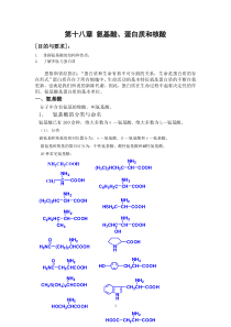 第十八章氨基酸,蛋白质和核酸