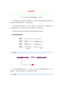 第十四节染色体变异