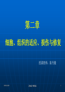 病理第二章细胞组织的适应损伤与修复