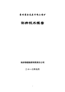 百鸡山测井报告