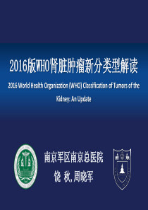 2016WHO肾肿瘤分类解读-饶秋