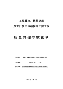 盐城联鑫钢铁首监地基主体前咨询意见书(打印四份)