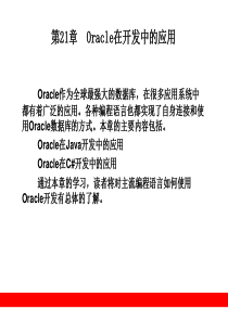 第21章Oracle在开发中的应用