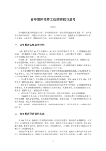 青年教师培养工程的实践与思考