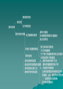 第四节营养缺陷型菌株的筛选