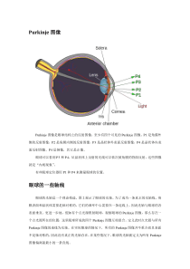 眼球的轴线