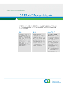 业务流程优化和有效的 IT 协调 - 产品概述CA