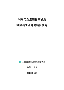 碳酸钙项目简介2过控所