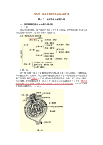 第九章泌尿生殖系统疾病病人的护理