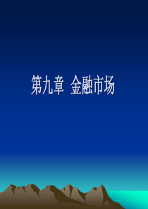 第九章金融市场