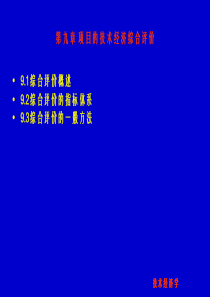 第九章项目的技术经济综合评价