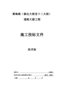 黄海路(泰达大街至第十二大街)道路大修工程