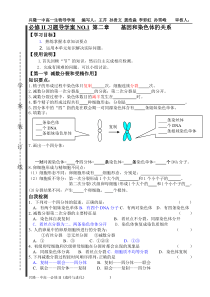 第二章基因和染色体的关系训练学案