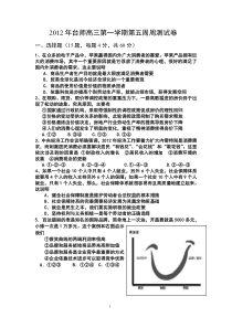 第五周周测试卷