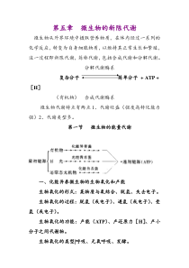 第五章微生物的新陈代谢