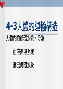 4-3人体的运输构造