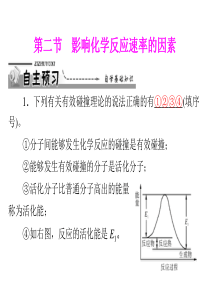 第2章第2节影响化学反应速率的因素