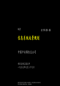 088麦肯锡平安保险信息系统规划咨询报告