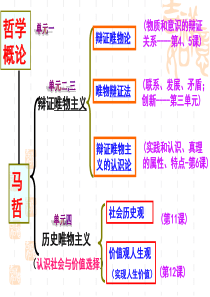 生活智慧与时代精神的复习课件