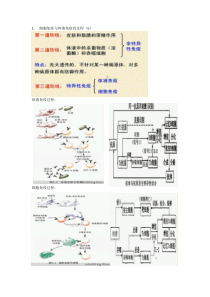 生物会考辅导体液免疫减数分裂多倍体育种