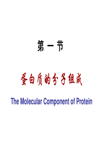 生物化学第1章蛋白质的结构与功能