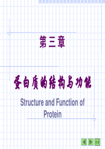 生物化学课件之蛋白质