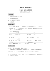 生物必修二第1章学案