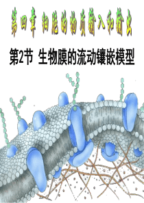 生物膜的流动镶嵌模型(经典整理版).