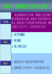 129127493023125000互联网支付工具与网上银行