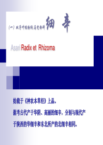 生药鉴别细辛牛膝大黄何首乌川乌附子.