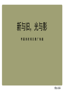 2019西安枣园刘村项目推广沟通-65P-精品文档