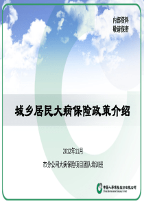 1城乡居民大病保险政策介绍培训资料