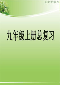 新人教版九年级化学上册复习PPT课件