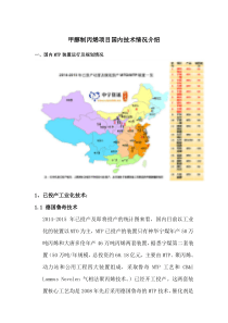 甲醇制丙烯项目国内技术情况介绍