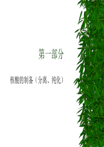 第一部分核酸的制备(分离纯化)