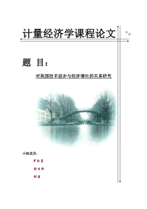 第七小组对我国技术进步与经济增长的关系研究