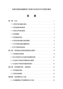 电子商务产业基地服务平台建设项目可行性研究报告