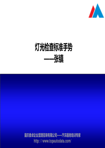 灯光检查标准手势资料