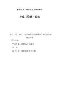 电子商务支付体系中存在的安全问题及对策