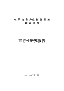 电子商务集聚中心可行性研究报告