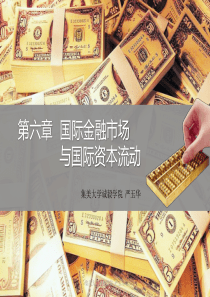 6第六章国际金融市场与国际资本流动