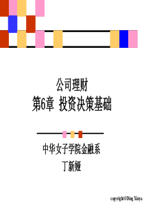 6金融学专业公司理财6(投资决策基础)