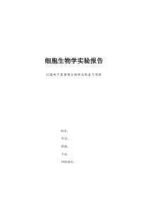 电子显微镜生物样品制备与观察细胞生物学实验报告