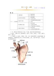 第三十二单元 上肢骨折