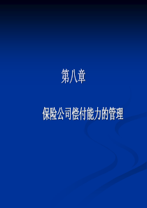 8保险公司偿付能力的管理