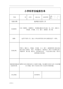 教科版六年级(上册)科学实验报告