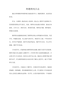 师德师风日志