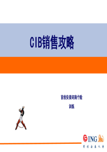 CIB保险销售攻略--首创安泰