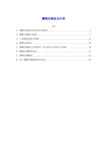 爆燃压裂技术介绍