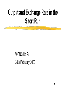 ShortRun(国际金融(香港大学,WONGKaFu)